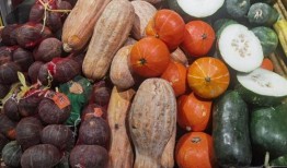 吃瓜不瓜地瓜,揭秘地瓜的神奇魅力