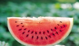 浅梦在吃瓜,揭秘娱乐圈那些不为人知的幕后故事