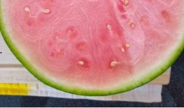 吃瓜网国外,国外视角下的中国网络文化现象