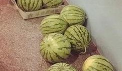 旁边吃瓜的人,揭秘吃瓜群众的趣味人生