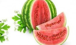 蓝洋洋吃瓜,揭秘娱乐圈幕后故事