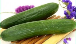 便秘可以吃什瓜,揭秘哪些瓜类食物助你轻松排便