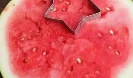 吃瓜不吐籽儿好吗,揭秘瓜果美食的独特魅力
