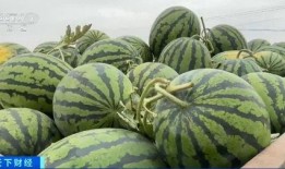 吃瓜新闻台,揭秘娱乐圈最新热点事件