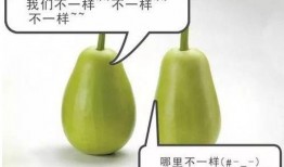 安商贸吃瓜,吃瓜群众眼中的行业风云