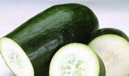 同门日常吃瓜,揭秘校园吃瓜日常