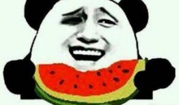 秋名山吃瓜大叔,揭秘赛车界的神秘“吃瓜群众”