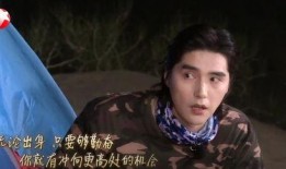 顶流夫妇在线吃瓜小说,揭秘娱乐圈的甜蜜秘辛