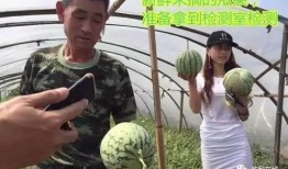 玄学算命直播吃瓜,揭秘神秘世界，吃瓜群众围观算命风云