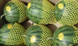 准备吃瓜的图片,一起“吃瓜”解暑趣事