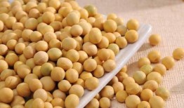 小黄豆半夜吃瓜,小黄豆深夜瓜界探险记