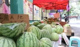 郑州吃瓜情报处,揭秘本地美食风云录