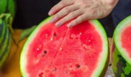 学校吃瓜资源,揭秘校园美食背后的故事