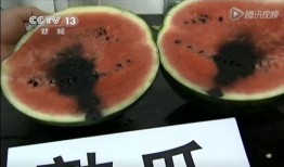 带你吃瓜吃席的视频大全,视频大全精彩回顾