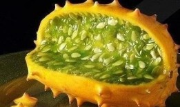 吃角瓜腹泻,揭秘原因及预防措施