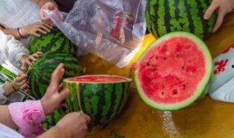 工作室吃瓜视频,娱乐圈幕后风云大曝光