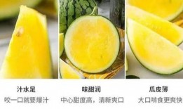 浅心吃瓜,揭秘娱乐圈那些不为人知的幕后故事