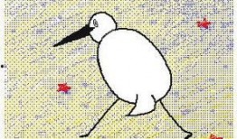 豆瓣吃瓜画饼,揭秘网络热评背后的真实故事