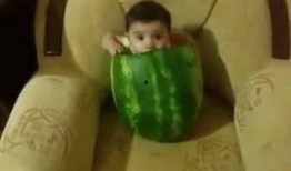 吃瓜的胖人吗,探寻美食与健康的平衡之道