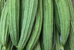 蛇瓜吃货,吃货眼中的独特风味之旅