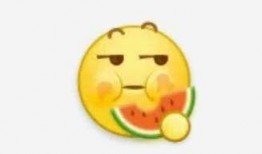 吃瓜网友啥意思