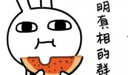 要在哪里吃瓜,揭秘各大热门“吃瓜”圣地