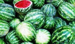 百年吃瓜,见证时代变迁的民间小吃