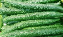 邯郸河北铺吃瓜,夏日炎炎，吃瓜群众欢乐多