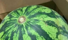 吃瓜中国真假,真假新闻背后的真相与反思