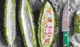 龙川吃瓜,揭秘网络热点的背后故事