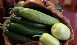 网红吃瓜聊天,揭秘娱乐圈幕后故事