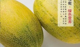 新疆民歌 吃蜜瓜,品鉴“吃蜜瓜”的韵味