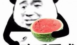 吃瓜唱歌的,揭秘娱乐圈的欢乐与泪水