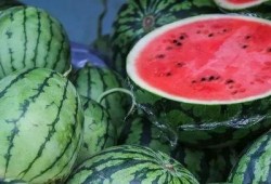 西瓜和姐姐吃瓜,夏日吃瓜欢乐时光