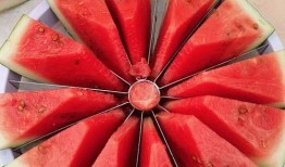 吃瓜大赛分享,吃瓜大赛精彩瞬间大盘点