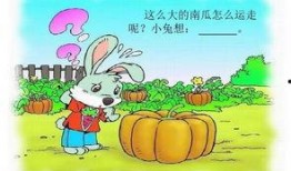 吃瓜小兔叽,揭秘娱乐圈那些不为人知的幕后故事