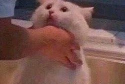 吃瓜群众快变绿,从围观到变绿的奇妙转变