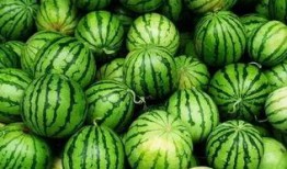 什么叫吃瓜群,网络社交新现象背后的文化解读