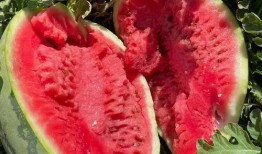 吃瓜绵绵,揭秘娱乐圈背后的故事与真相