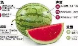 微信吃瓜公,网络舆论场中的“瓜王”传奇