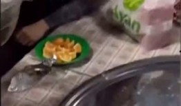 全公司同事吃瓜,吃瓜狂欢背后的团队凝聚力