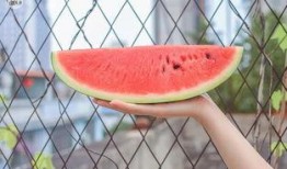 吃瓜绵绵,揭秘娱乐圈背后的故事与真相