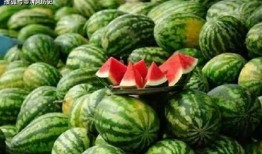 吃瓜吃中间的人,品味中间之美