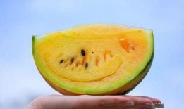 吃瓜吃的是什么瓜,揭秘各式瓜果的美食传奇