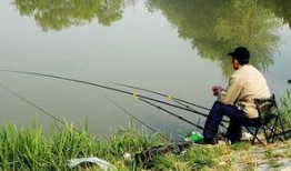 重庆钓鱼塘吃瓜,重庆钓鱼塘里的夏日吃瓜趣事