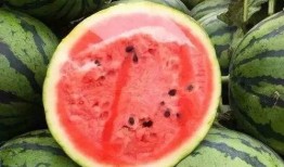 吃瓜无米,揭秘娱乐圈背后的故事