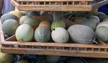 单位吃瓜之,揭秘职场八卦背后的真相