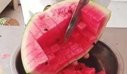 牙签吃瓜图片,一场别开生面的夏日美食之旅