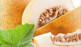 胖妈吃哈密瓜,胖妈的哈密瓜美食之旅