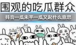 抖音吃瓜口令,跟随口令探寻娱乐圈最新瓜皮！”